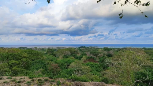 Terreno en venta en Cabuya con vista panorámica al océano, rodeado de Naturaleza